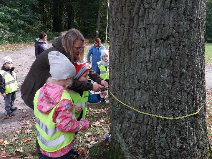 Zajęca edukacyjne z okazji "Dnia Drzewa"