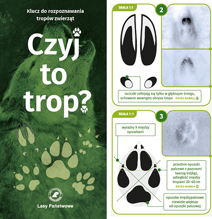 Klucz do rozpoznawania tropów zwierząt (CILP)