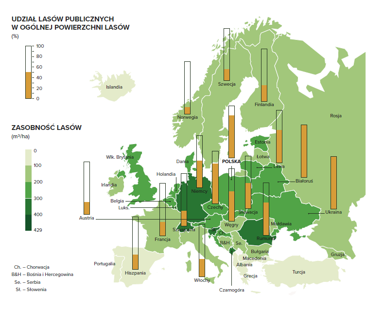 Grafika przedstawiajaca udział lasów publicznych w ogólnej powierzchni lasów