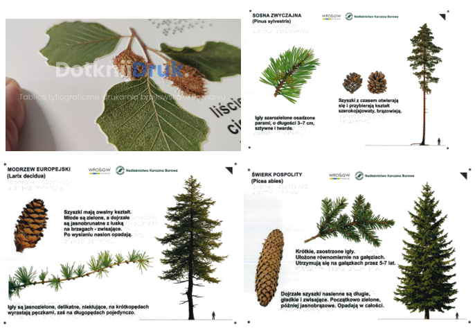 Kolaż zdjęć przedstawiających tablice tyflograficzne zakupione w ramach dofinansowania z WFOŚiGW w Poznaniu