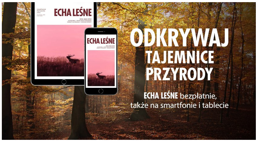 Informacja o dostępności magazynu "Echa leśne" na tablet i smartfon