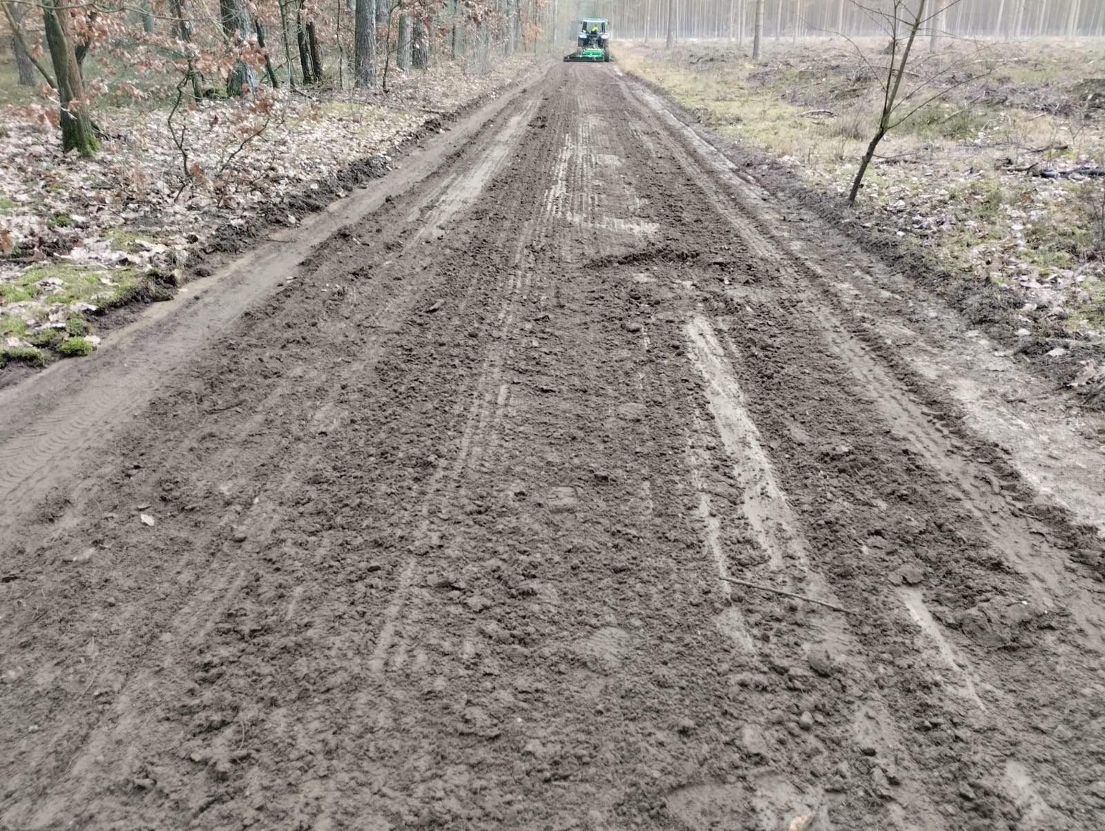 Zdjęcie przedstawia drogę leśną po naprawie przy uzyciu równiarki leśnej (fot. T.Girtler)