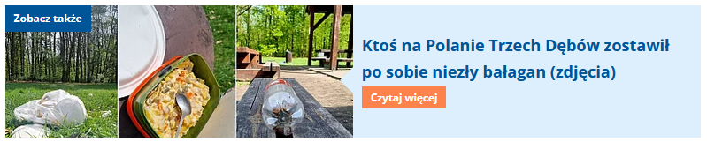 Zrzut z ekranu strony portalu leszno24.pl