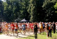 Maraton na duktach leśnych