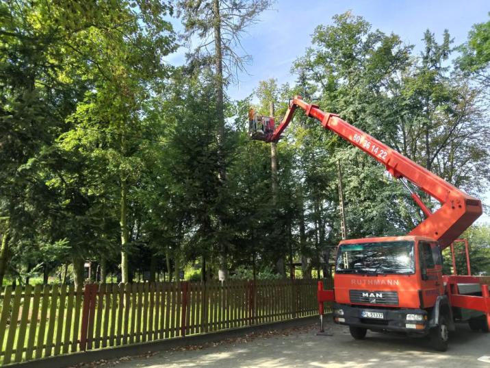 Podnośnik&#x20;z&#x20;koszem&#x20;podczas&#x20;prac&#x20;wycinania&#x20;suchych&#x20;świerków&#x20;w&#x20;Kaciku&#x20;Edukacyjnym&#x20;&#x28;fot&#x2e;&#x20;J&#x2e;Girtler&#x29;