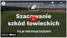 Szkody łowieckie - procedura zgłaszania