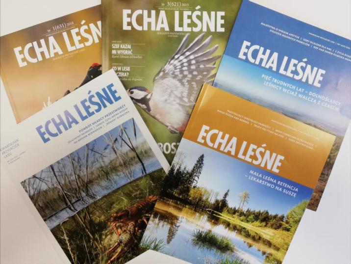 Kilka&#x20;egzeplarzy&#x20;magazynu&#x20;&#x22;Echa&#x20;leśne&#x22;