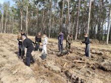 Międzynarodowy Dzień Lasów 2026